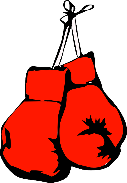 boxinggloves